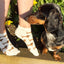 Pink Pup Bamboo Trainer Socks 3 Pack