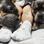 Pastel Pup Bamboo Trainer Socks 3 Pack