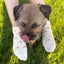 Pink Pup Bamboo Trainer Socks 3 Pack