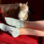 Cat Bamboo Trainer Socks