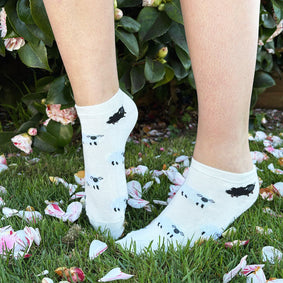 Sheep Bamboo Trainer Socks