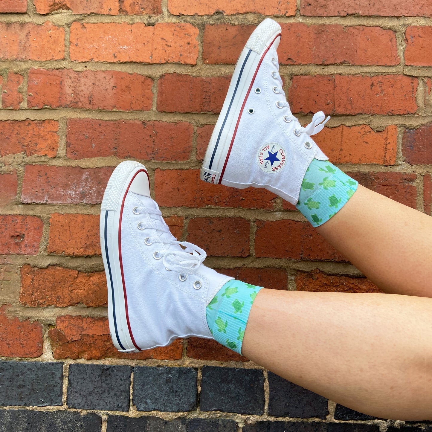 
                  
                    Turtle Printed socks
                  
                