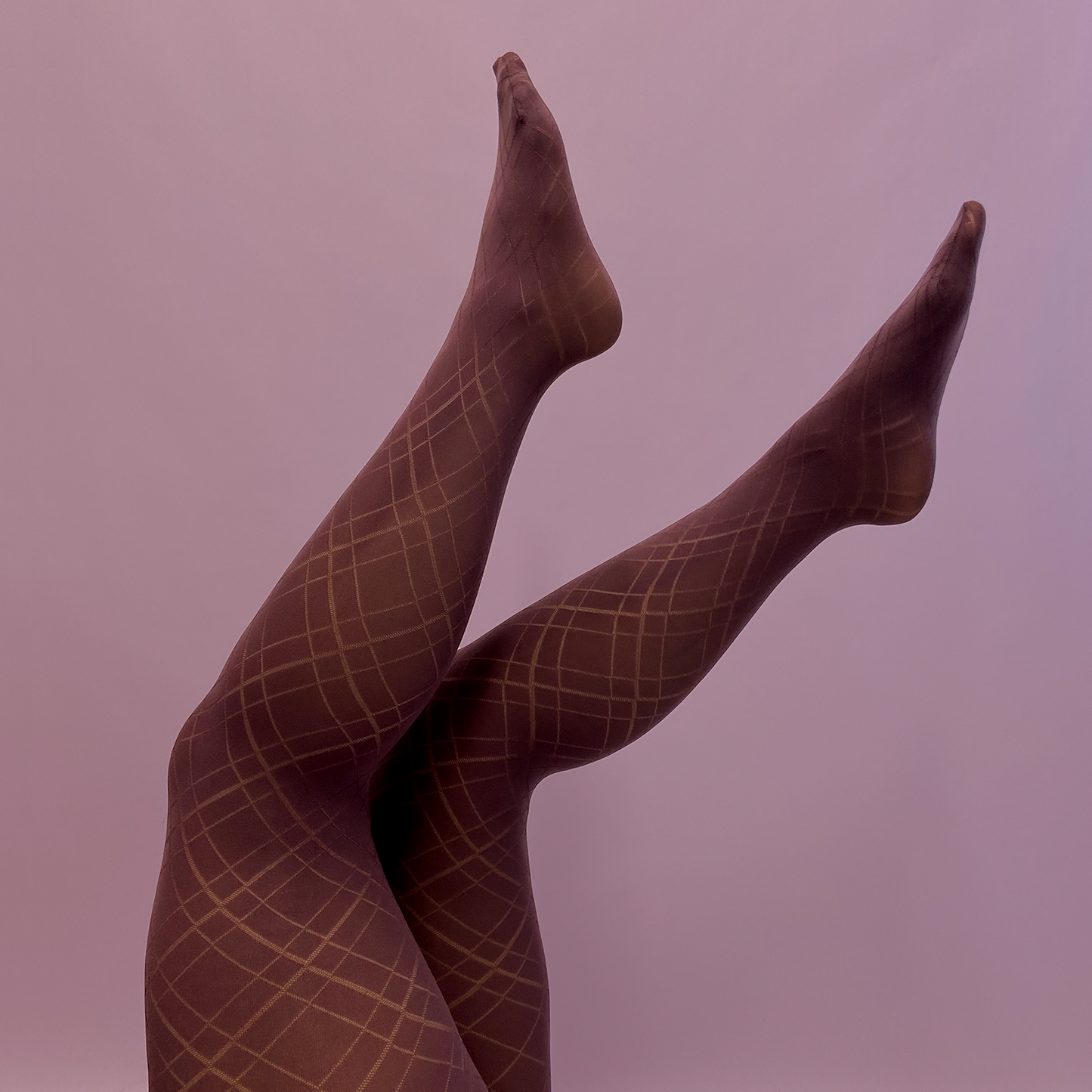 
                  
                    Plum Tights with Lattice Pattern
                  
                